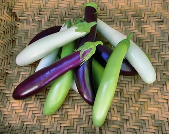 Fingerling Mix Eggplant Heirloom Seeds - Good for Containers, Patio & Balcony, Organic, Non-GMO