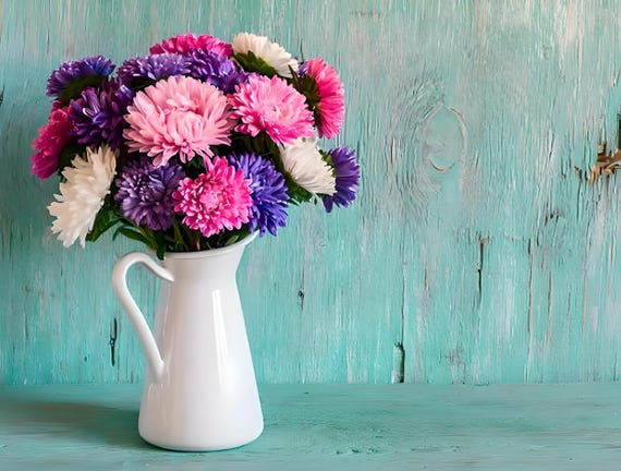 Powder Puff Aster Flower Seeds: Heirloom, Easy to Grow, Pollinator Friendly