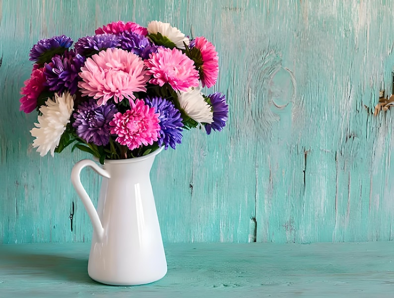 Powder Puff Aster Flower Seeds: Heirloom, Easy to Grow, Pollinator Friendly image 1