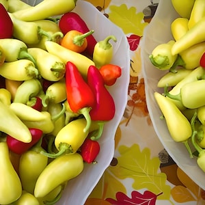 May include: Two bowls filled with a variety of red and yellow peppers. The peppers are arranged in a random pattern and are all different sizes.