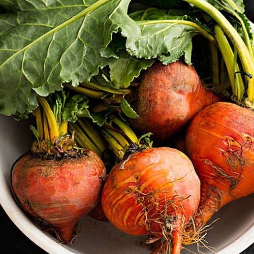 Heirloom Golden Detroit Beet Seeds - Biologique, sans OGM