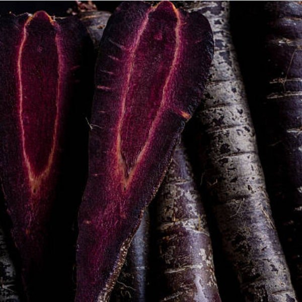 Black Nebula 200+ Heirloom Carrot Seeds - Organic, Non-GMO