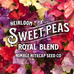 Sweet Pea, Heirloom Flower Mix 20+ Seeds - Fragrant Cut Flower & Cottage Garden, Container Garden, Lathyrus Odoratus, Non-GMO