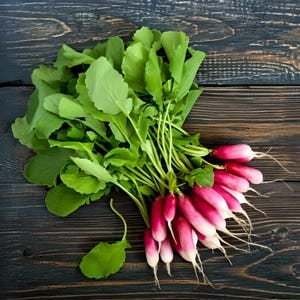 French Breakfast Heirloom Radish Seeds - Organic, Non-GMO image 2