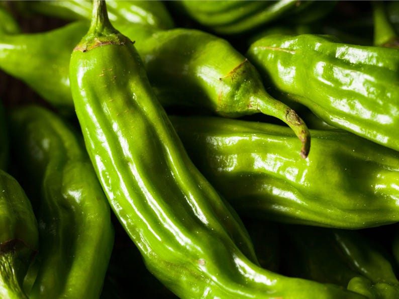 NimbleNitecap Shishito Pepper Seeds - Thumbnail 3