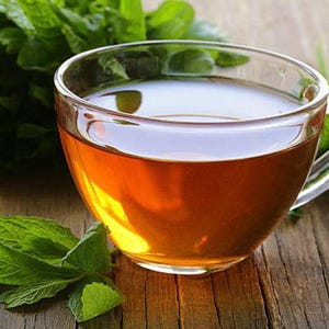 Spearmint Heirloom Herb Seeds