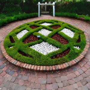 Creeping Thyme 300+ Seeds - Heirloom Herb, Culinary & Medicinal, Fragrant Ground Cover, Open Pollinated, Non-GMO image 2