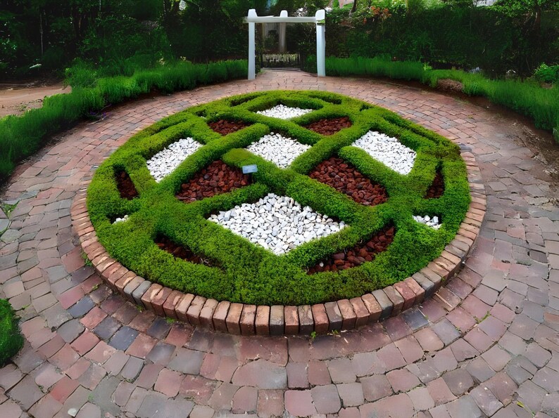 Creeping Thyme 300+ Seeds - Heirloom Herb, Culinary & Medicinal, Fragrant Ground Cover, Open Pollinated, Non-GMO image 2