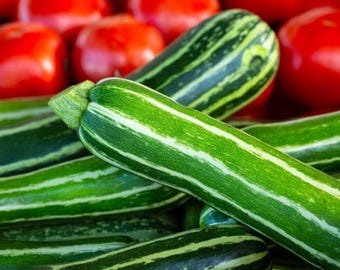 Cocozelle Heirloom Zucchini Seeds - Organic, Non-GMO