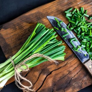 Heirloom Ishikura Bunching/Scallion Onion Seeds adng -  Japanese Leek, Container Gardening, Organic, Non-GMO