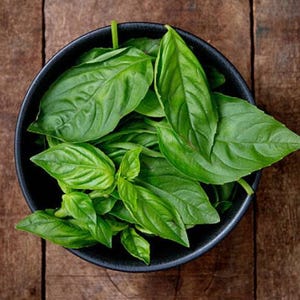 May include: A black bowl filled with fresh green basil leaves.