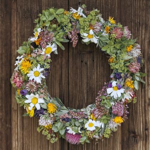 Izzie's Cut Flower Blend Heirloom Wildflower Seeds, Perennial & Annual Pollinator Mix image 6