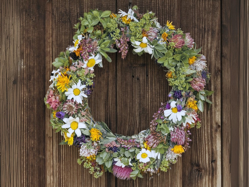 Izzie's Cut Flower Blend Heirloom Wildflower Seeds, Perennial & Annual Pollinator Mix image 6