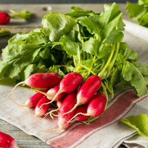French Breakfast Heirloom Radish Seeds - Organic, Non-GMO image 5