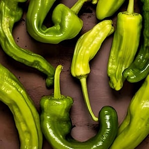 Greek Golden Pepperoncini Heirloom Pepper Seeds