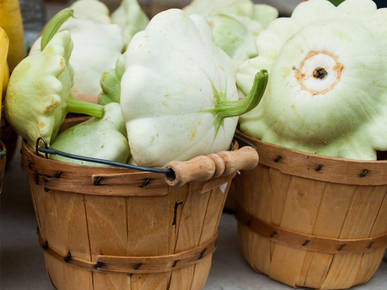 NimbleNitecap Patty Pan Summer Squash Seeds - Thumbnail 4