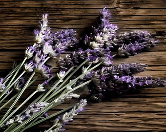 Lavender Heirloom Herb Seeds