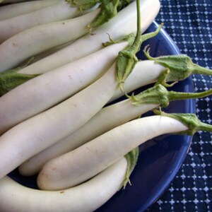 Fingerling Mix Eggplant Heirloom Seeds - Good for Containers, Patio & Balcony, Organic, Non-GMO image 4