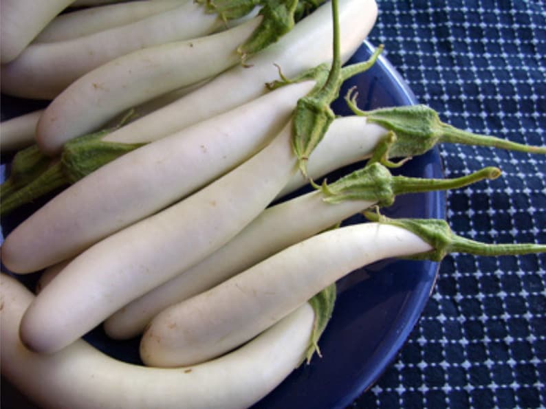 Fingerling Mix Eggplant Heirloom Seeds - Good for Containers, Patio & Balcony, Organic, Non-GMO image 4