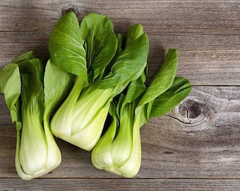 Pak Choi Heirloom Chinese Cabbage Seeds - Organic, Non-GMO