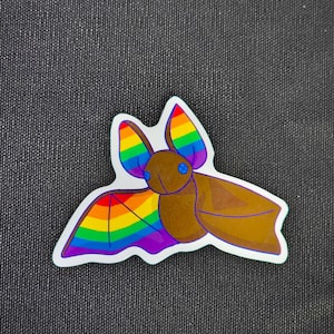 May include: A sticker featuring a brown bat with button eyes and rainbow-colored patterns on its ears and one wing. The bat has a brown body and a solid brown wing on the right side. The text rain faerie is printed in the bottom right corner.