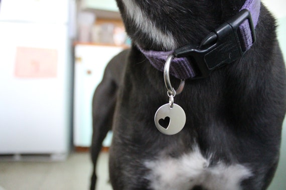 dog and human bff necklace