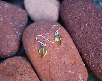 Beechnut dangle earrings in brass and silver