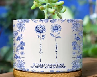 Toile de Jouy - Maceta de cerámica personalizada para el nacimiento de una vieja amiga, regalo para hija, madre, hermanas, amigas y amantes de las plantas.