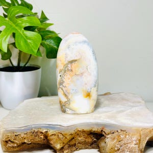 Charming Polychrome Jasper Free Form | Earthy Swirls and Grounding Energy | Vibrant Desert Tones | Approx. Weight: 0.6 lb