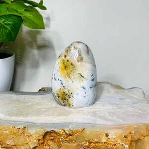 Elegant mini Polychrome Jasper Free Form | Earthy Beauty | Harmonizing Energy | Approx. Weight: 0.3 lb