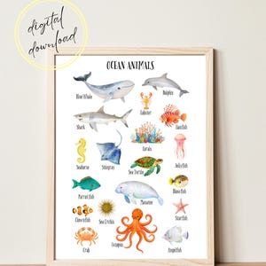 Ocean Animal Educational Poster for Kids, Printable Wall Art, Ocean animal names, Animal recognition, Kids room decor, Learning animals