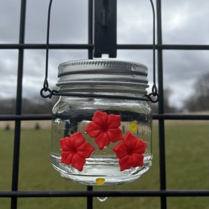 Beautiful HUM-Ble Beginnings™  8oz Hummingbird Feeder Mason Jar w/Three Ports