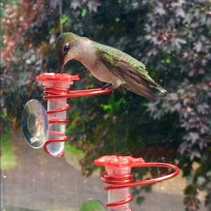 NEW! Single New Flower Micro HUM-fi™, Mini Hand Held Hummingbird Feeder W Window Perch