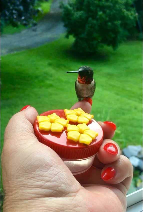 Brand New Style Hum Drum 3 Port Mini Hand Held Hummingbird Etsy