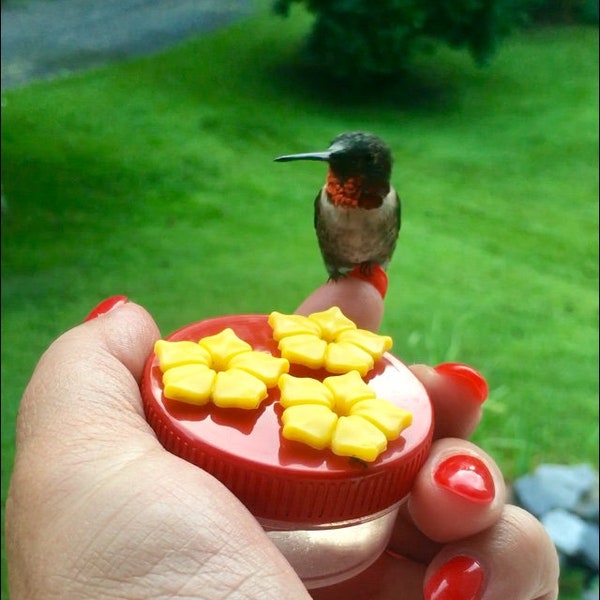 Original STYLE,  HUM-Drum™  3 Port Mini Hand Held Hummingbird Feeders,RED w/Yellow