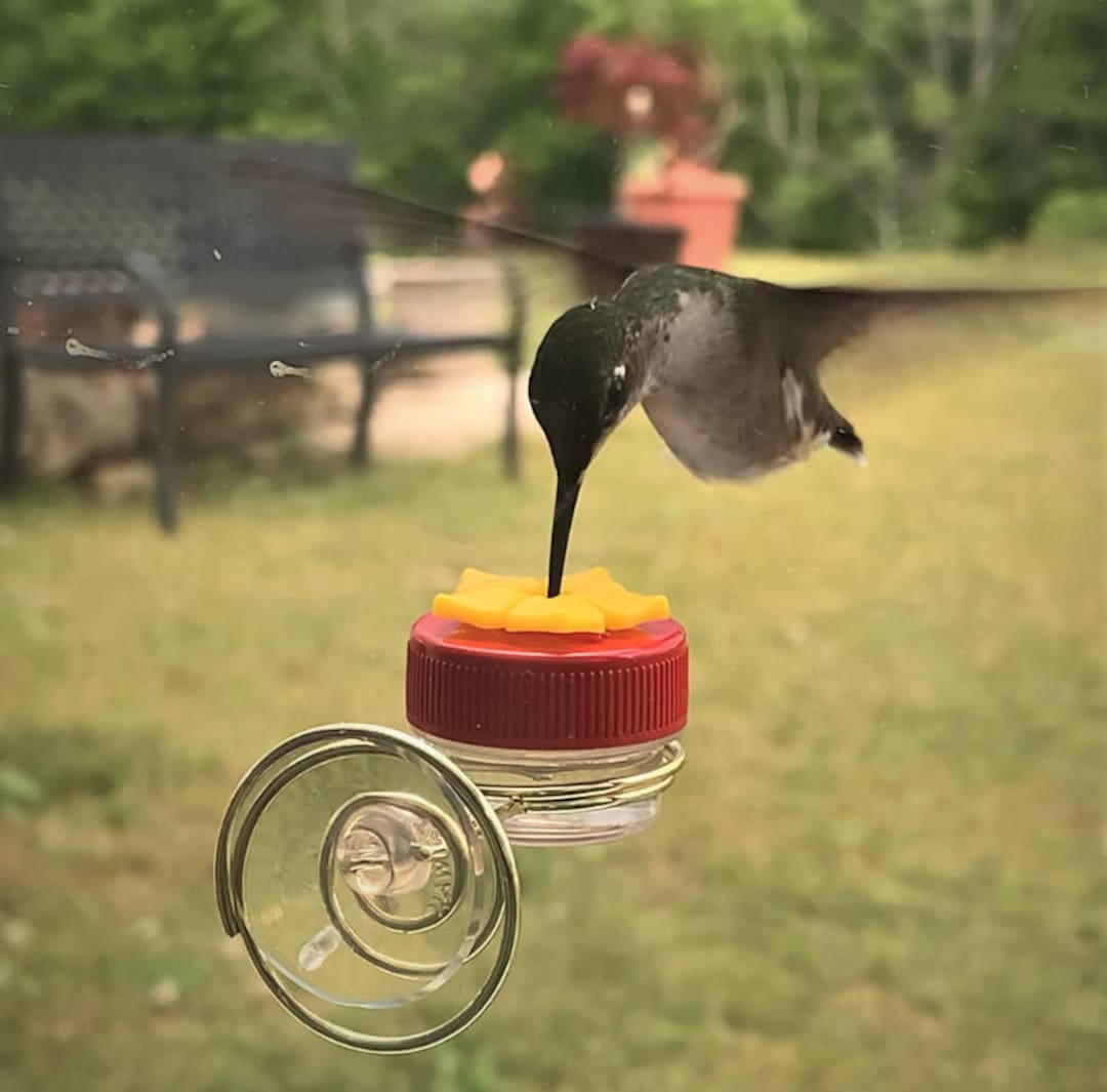 NEW Flower Single Hum button With Lovely Window Spiral Holder Mini Hand Held Hummingbird Feeder Etsy