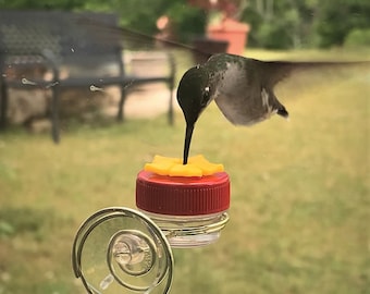 NEW Flower Single HUM-Button™ with Lovely Window Spiral Holder Mini Hand Held Hummingbird Feeder