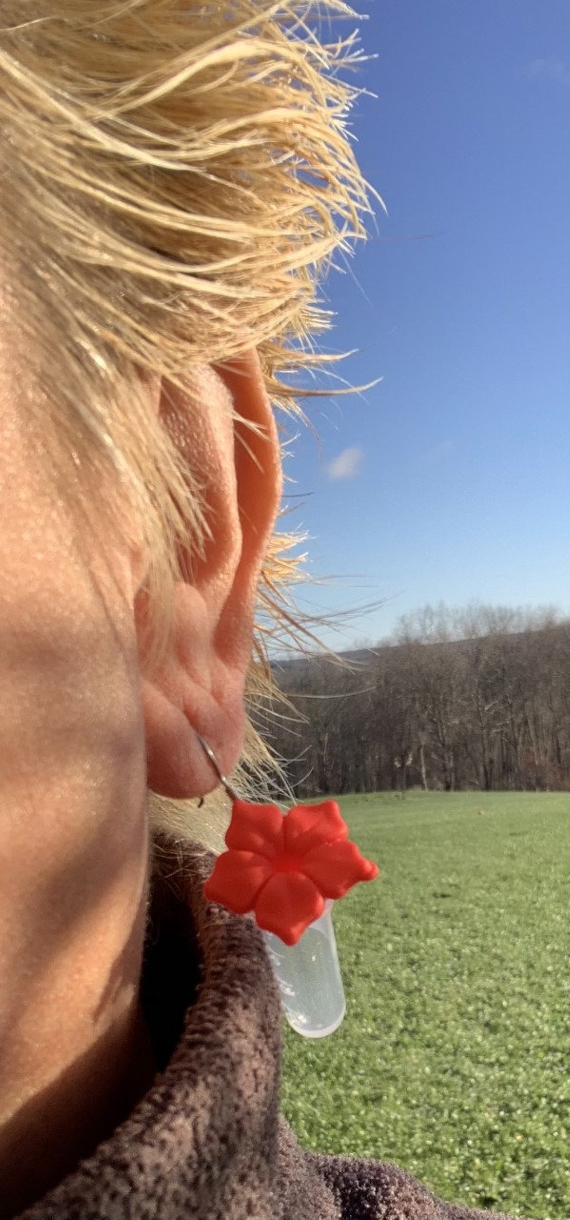 NEW Hummingbird Feeder Earrings Handcrafted and Unique Etsy