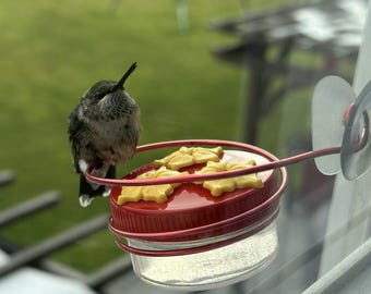 1 HUM-Drum ™ & Fensterbarsch 3-Port-Mini-Hand-Kolibri-Feeder