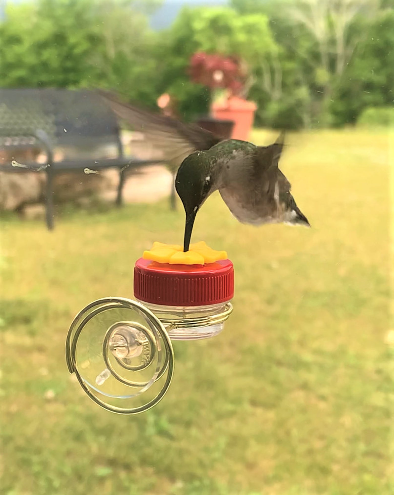 NEW Flower Single Hum-button™ With Lovely Window Spiral Holder - Etsy