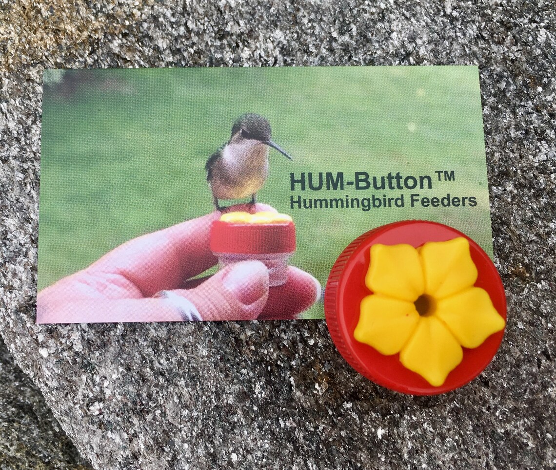 Single New Flower Hum-button™, Mini Hand Held Hummingbird Feeder W ...