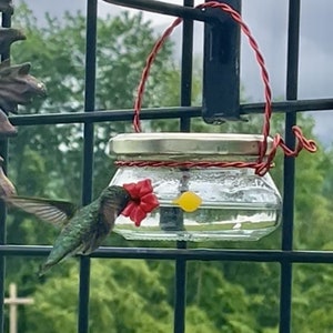 Beanpot 4ounce HUM-Ble Beginnings™ HUM-fi™ Hummingbird Feeder Mason Jar w Single port