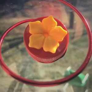 Single New Flower HUM-Button™, Mini Hand Held Hummingbird Feeder W Perch