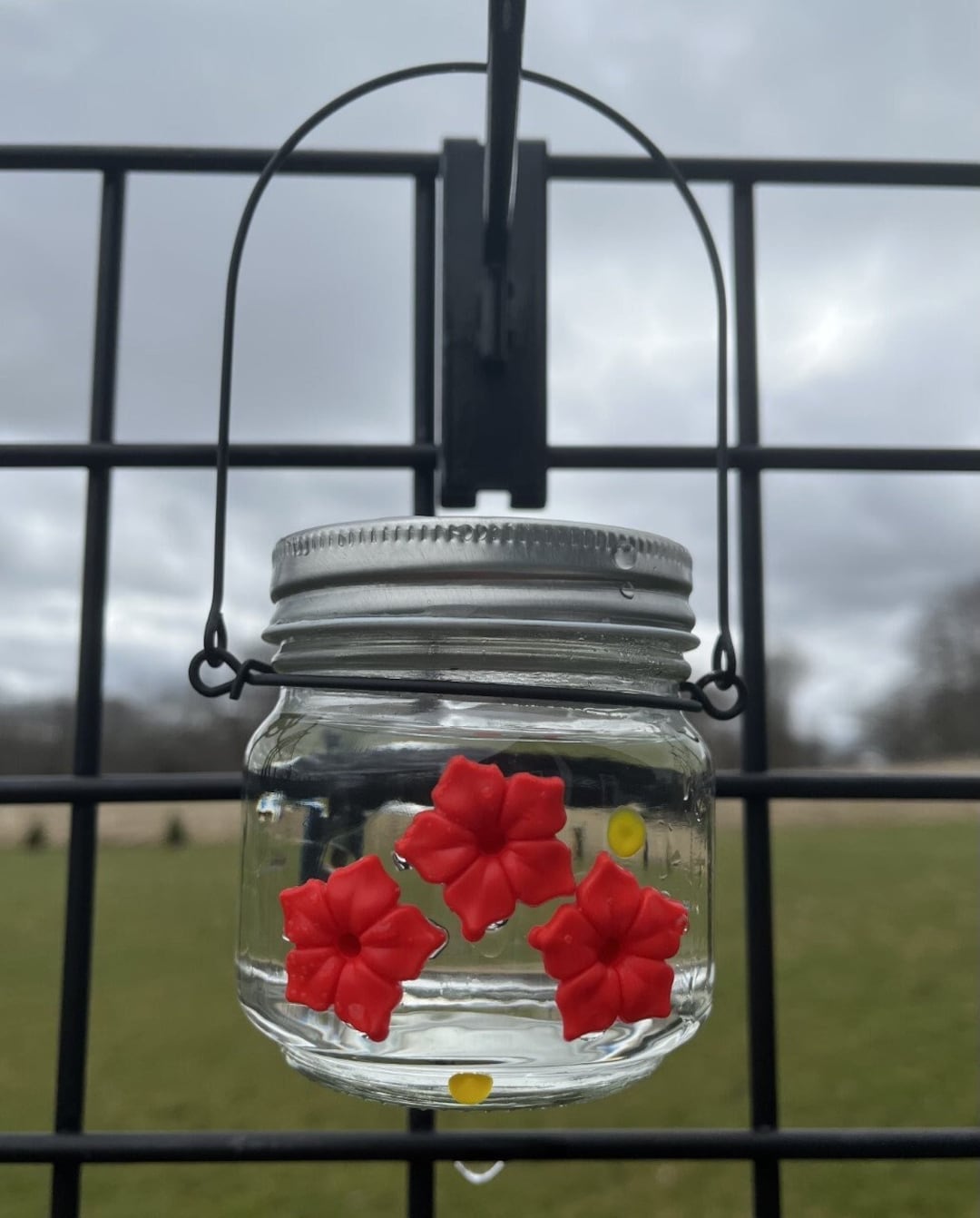 Beautiful Hum-ble Beginnings™ 8oz Hummingbird Feeder Mason Jar W/three ...