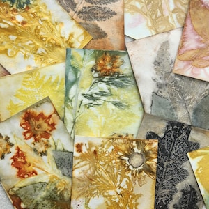 May include: A collection of rectangular paper cards featuring botanical prints created with natural dyes. The cards display various leaf and flower imprints in shades of yellow, orange, brown, and grey, showcasing intricate textures and organic patterns.