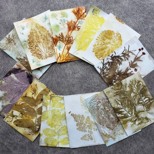 Eco Printed Papers, Paper Kits, Hand Printed Papers, Wild Crafting, Eco Friendly image 8