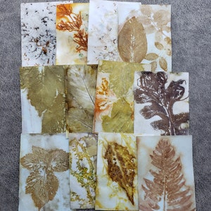Eco Printed Papers, Paper Kits, Hand Printed Papers, Wild Crafting, Eco Friendly image 4