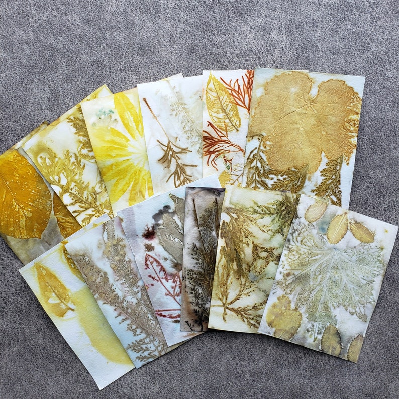 Eco Printed Papers, Paper Kits, Hand Printed Papers, Wild Crafting, Eco Friendly image 9