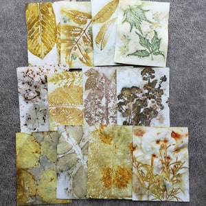 Eco Printed Papers, Paper Kits, Hand Printed Papers, Wild Crafting, Eco Friendly image 6