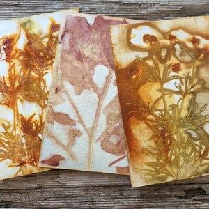 Eco Printed Papers, Paper Kits, Hand Printed Papers, Wild Crafting, Eco Friendly image 3